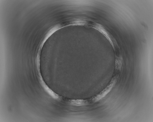 X0000111680859200908141448