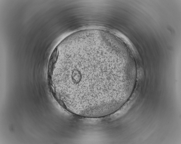 X0000111680860200908141448