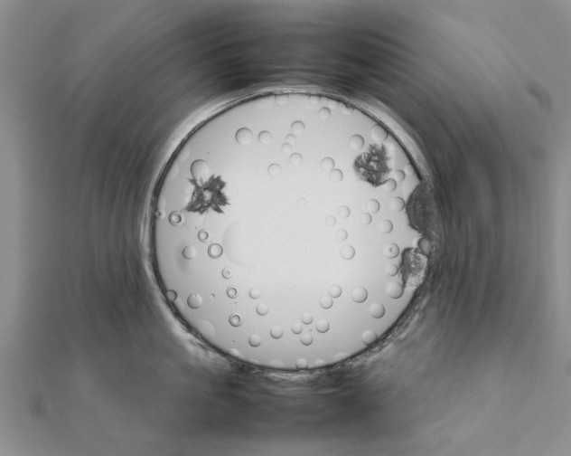 X0000111680861200908141448