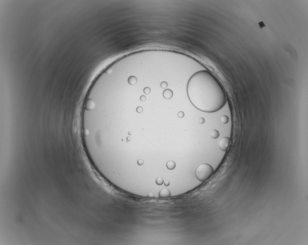 X0000111680862200908141448