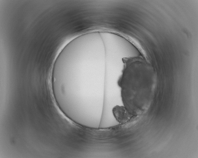 X0000111680863200908141448