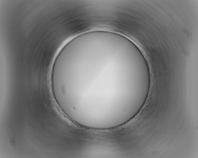 X0000111680864200908141448