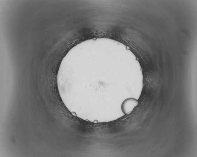 X0000111680865200908141448