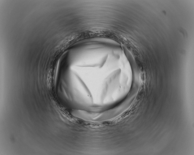 X0000111680868200908141448