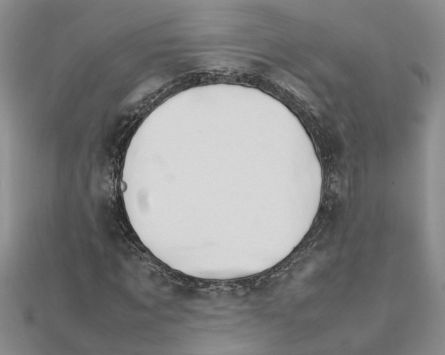 X0000111680869200908141448