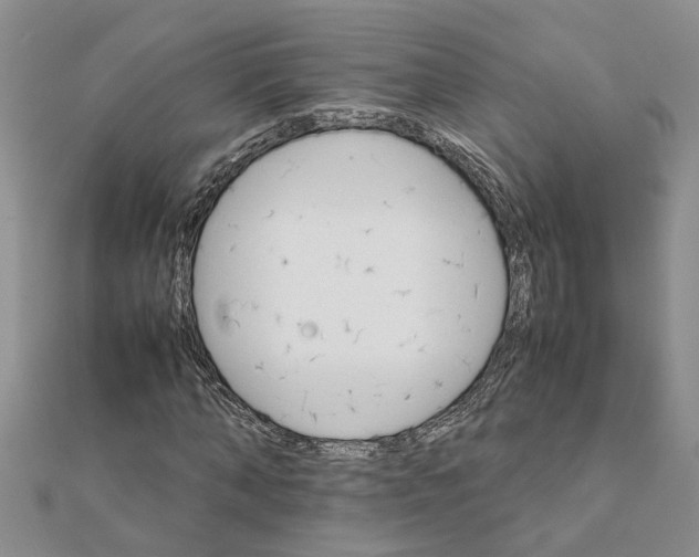 X0000111680870200908141448