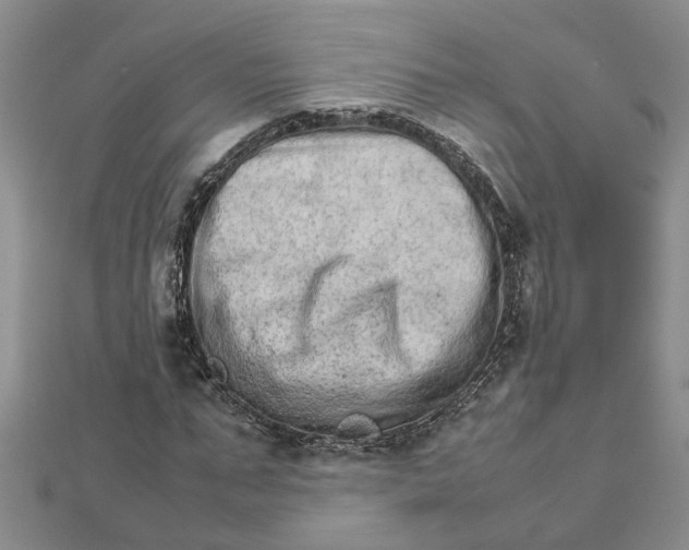 X0000111680871200908141448