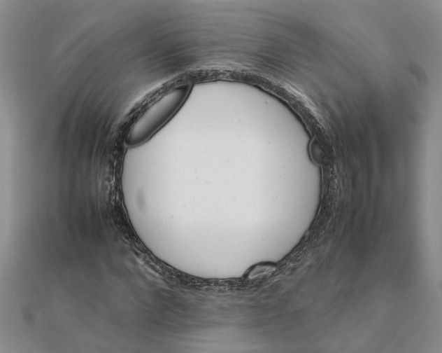 X0000111680872200908141448