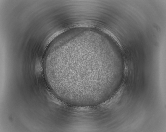 X0000111680874200908141448