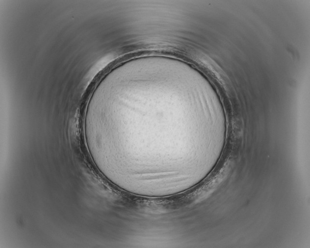 X0000111680875200908141448