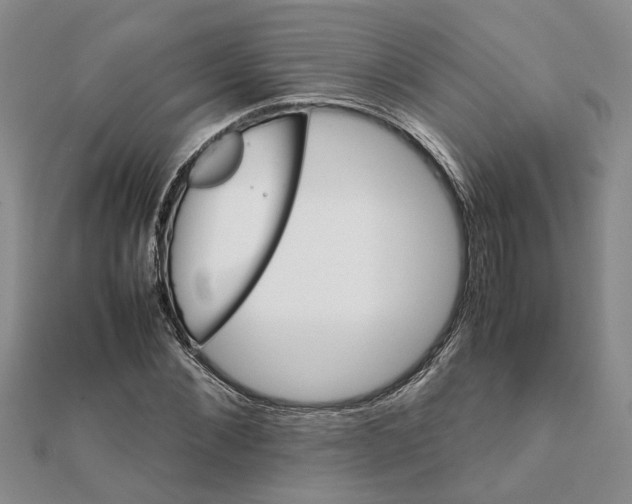 X0000111680876200908141448