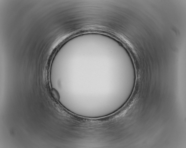 X0000111680877200908141448