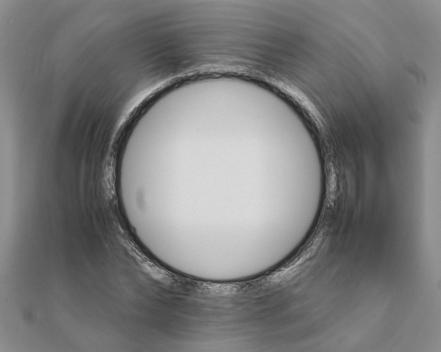 X0000111680878200908141448