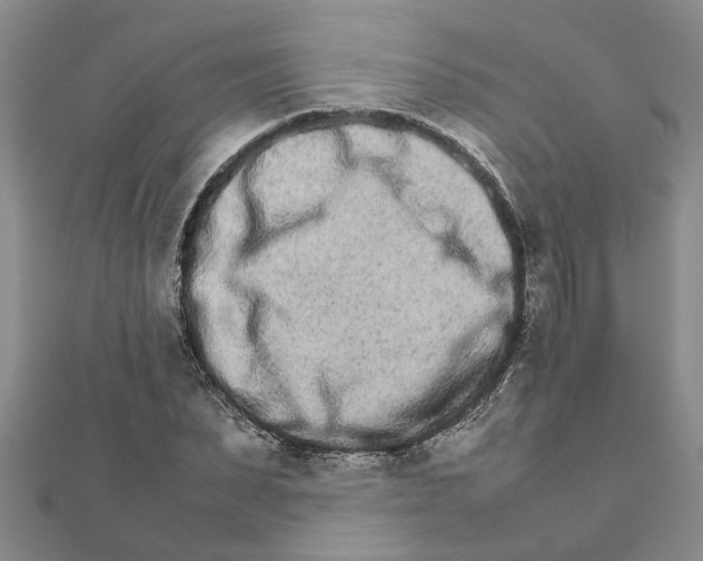 X0000111680879200908141448