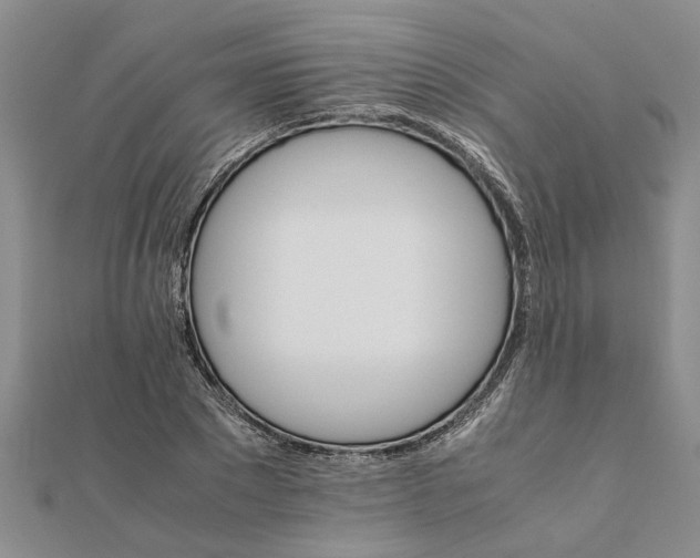 X0000111680881200908141448