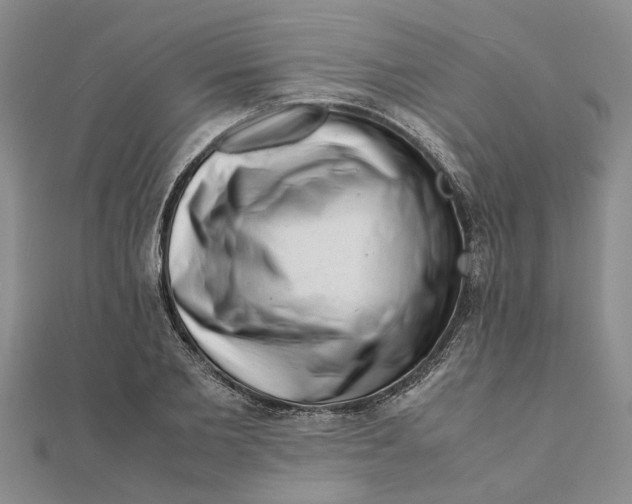 X0000111680885200908141448