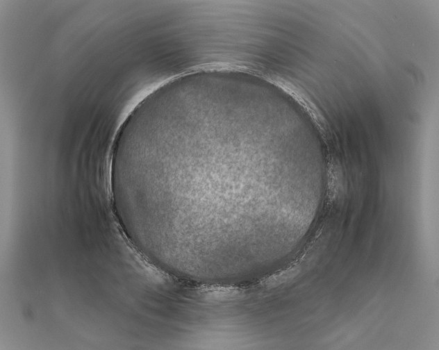 X0000111680886200908141448