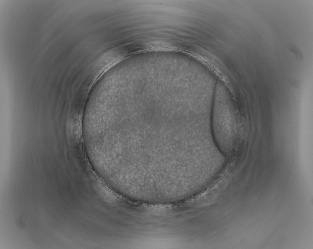 X0000111680889200908141447