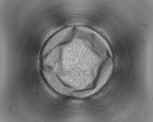 X0000111680890200908141447