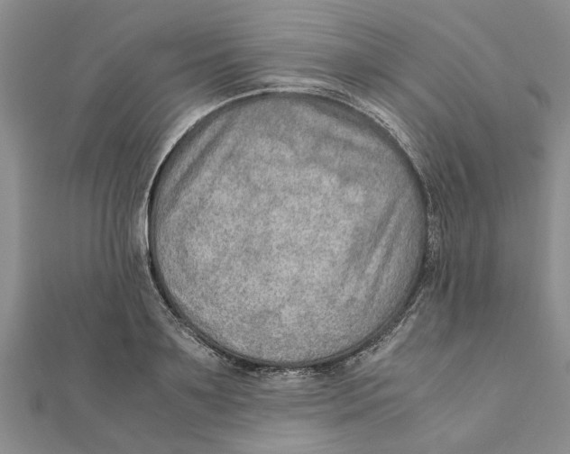 X0000111680891200908141447