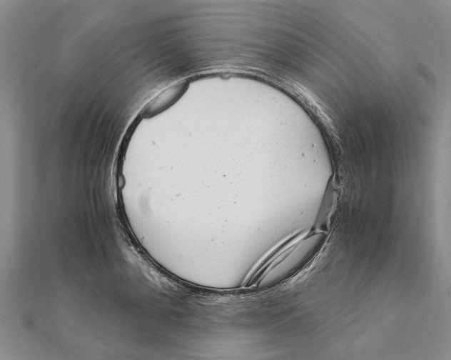 X0000111680892200908141447