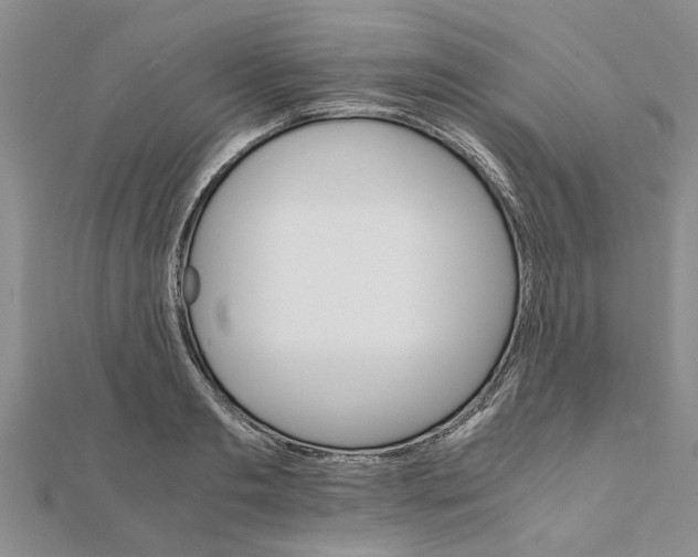 X0000111680893200908141447