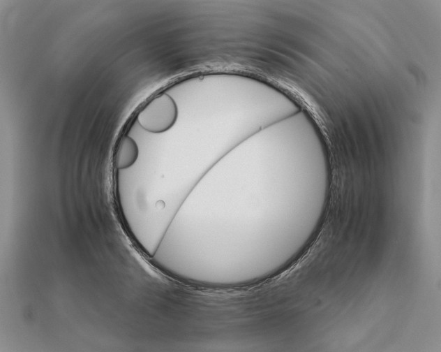 X0000111680894200908141447