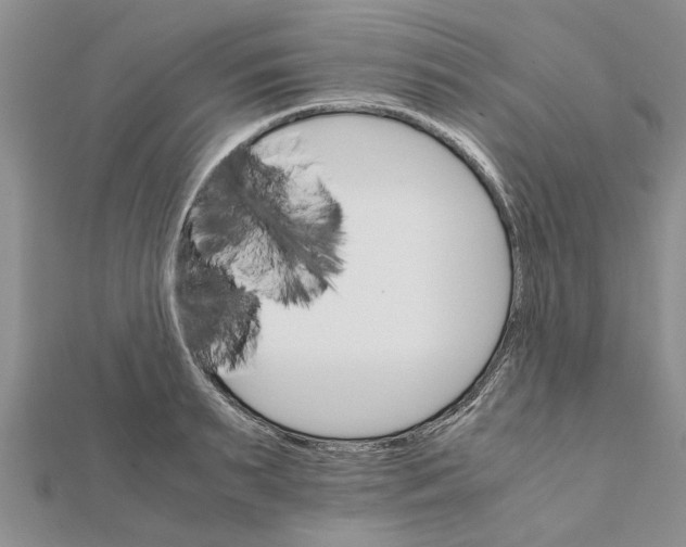 X0000111680895200908141447