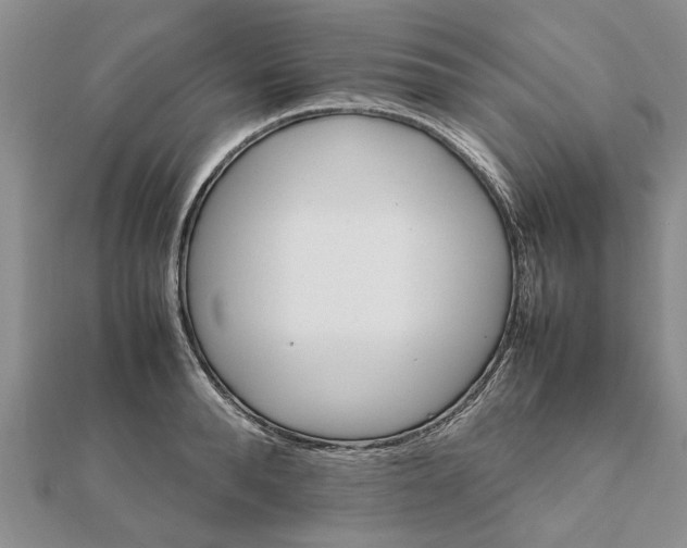 X0000111680896200908141447