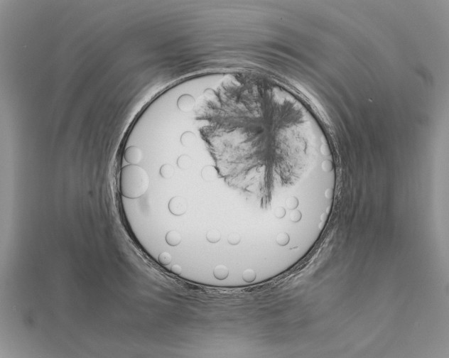 X0000111680899200908141447