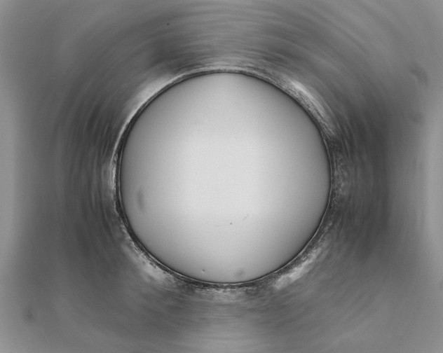 X0000111680900200908141447