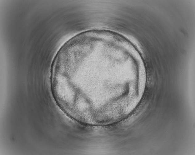 X0000111680903200908141447