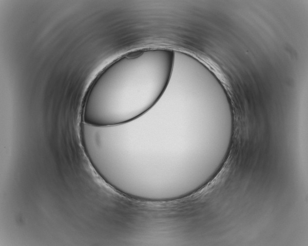 X0000111680904200908141447