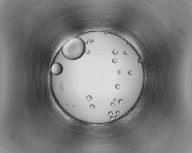 X0000111680906200908141447