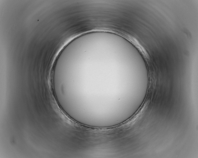 X0000111680908200908141447