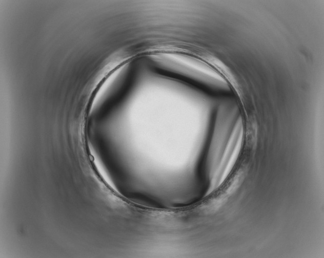 X0000111680909200908141447