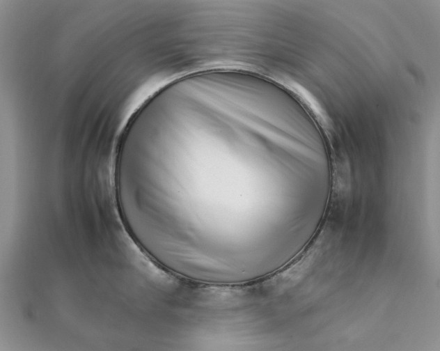 X0000111680910200908141447