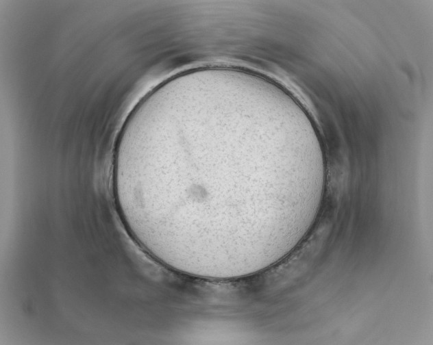 X0000111680911200908141447