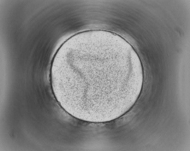 X0000111680912200908141447