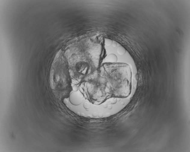 X0000111680913200908141446