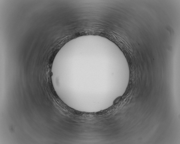 X0000111680914200908141446