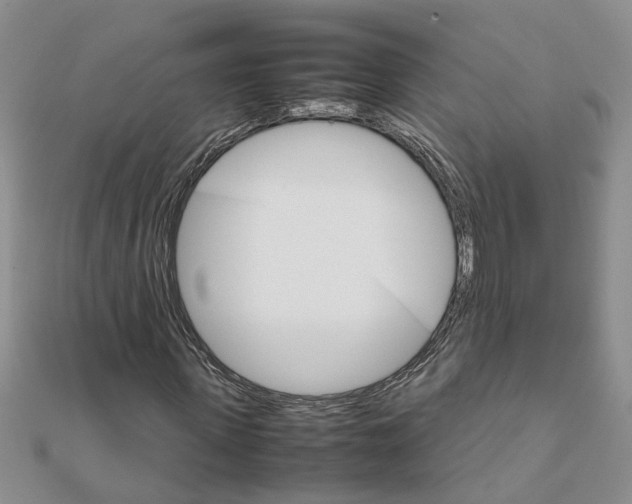 X0000111680915200908141446