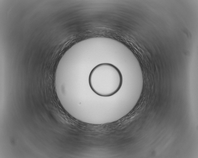 X0000111680916200908141446