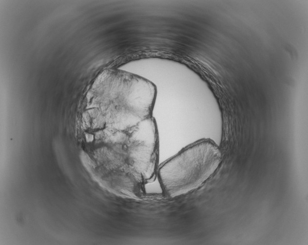 X0000111680917200908141446