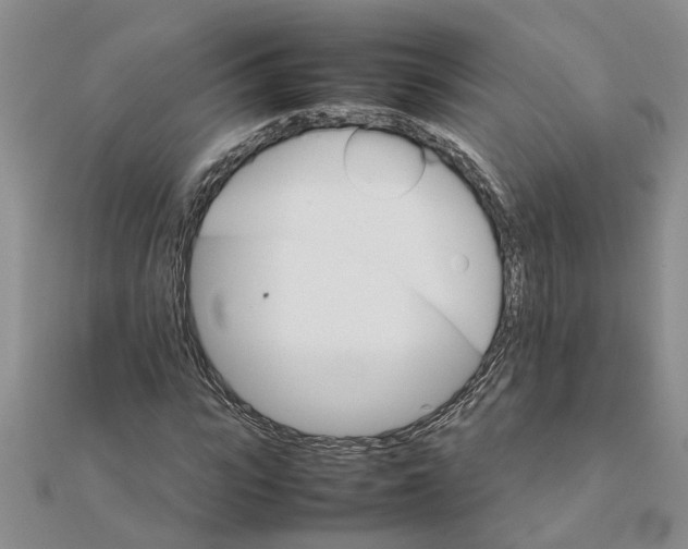 X0000111680919200908141446