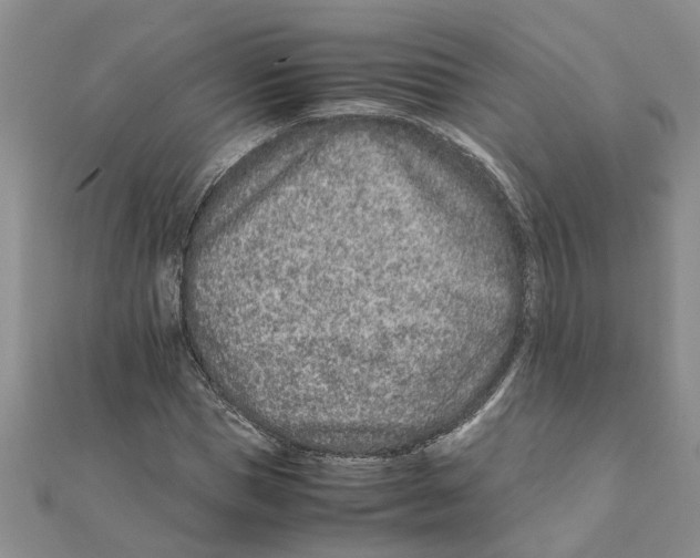 X0000111680921200908141447