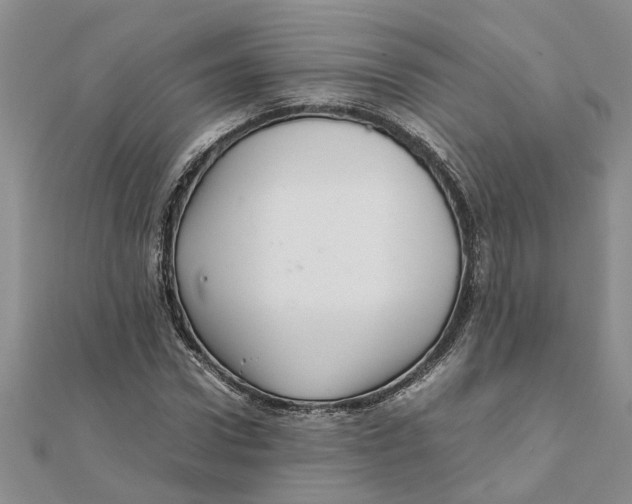 X0000111680922200908141447