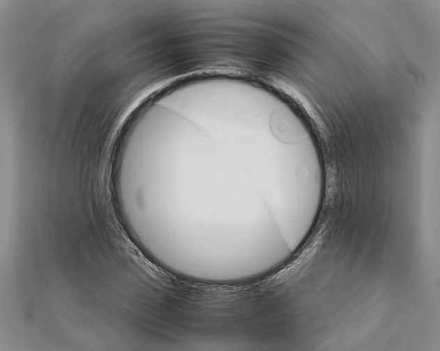 X0000111680923200908141447