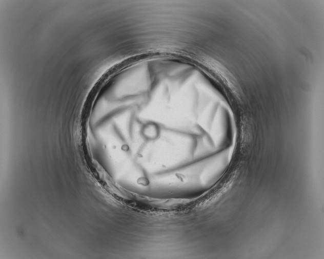 X0000111680924200908141447