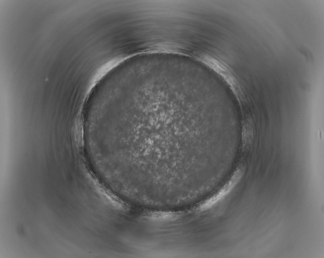 X0000111680925200908141447